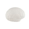 ANTI ESTRES EN FORMA CEREBRO